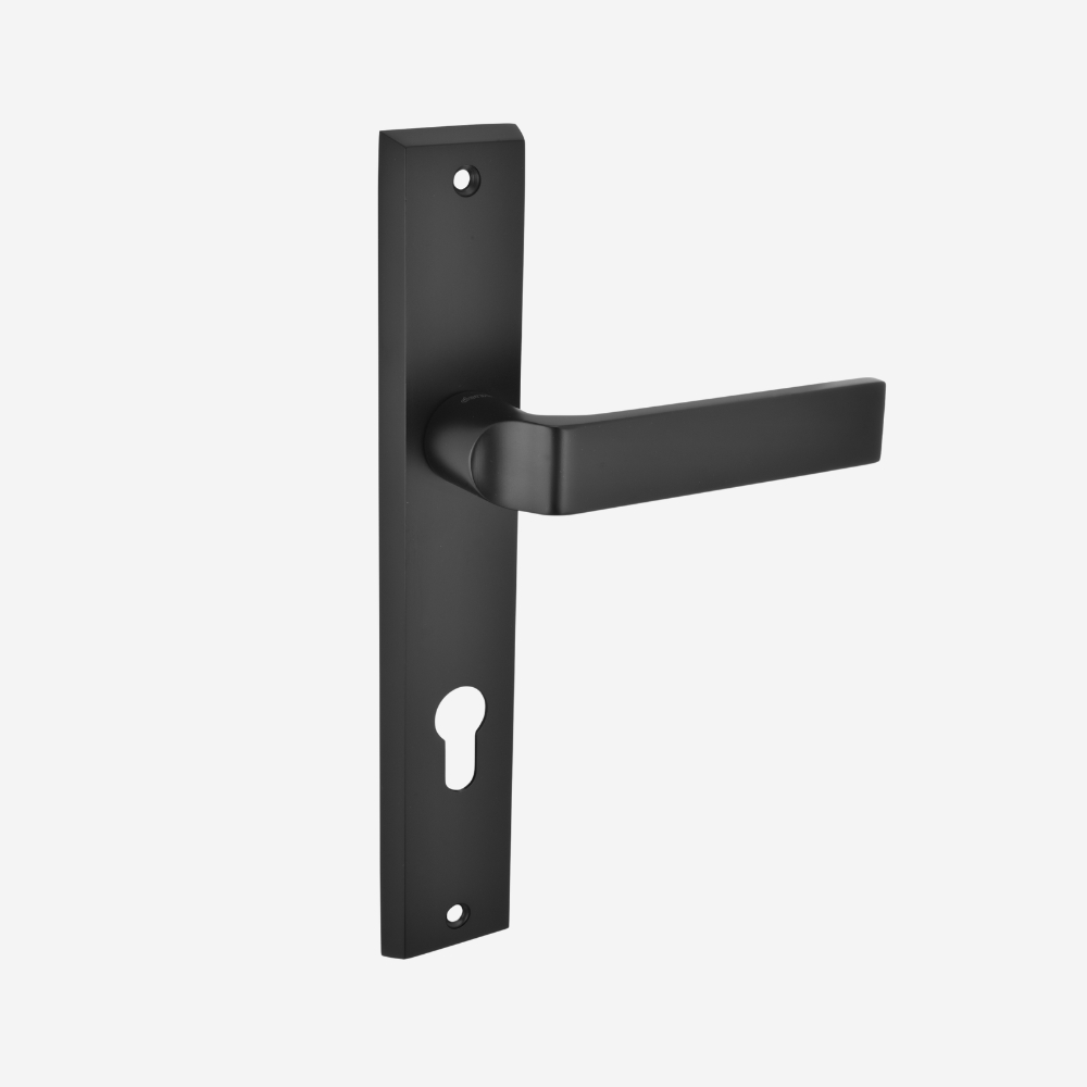 Diamas Pro Door Lock Solution