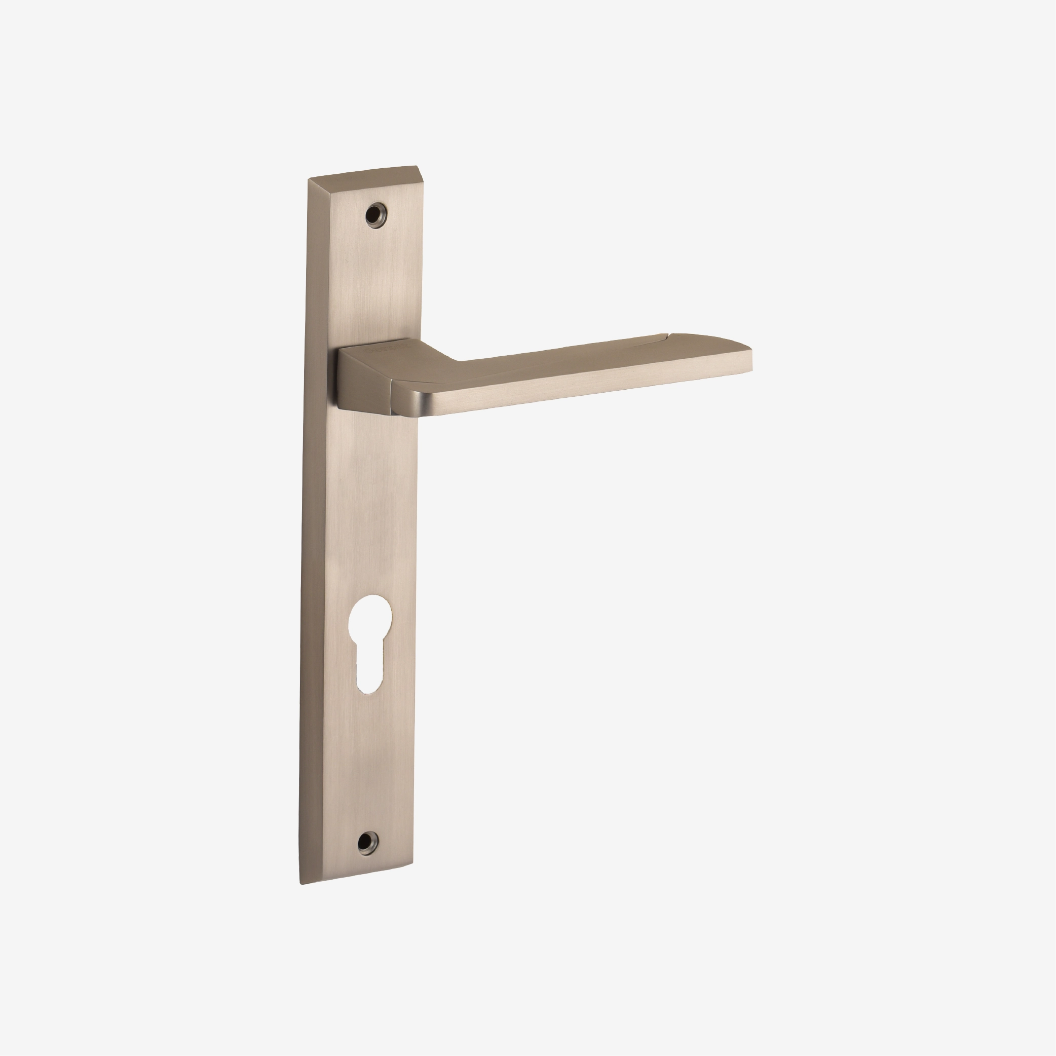 Dorset Rivaan Combo lockset - Door Lock Solution by Dorset